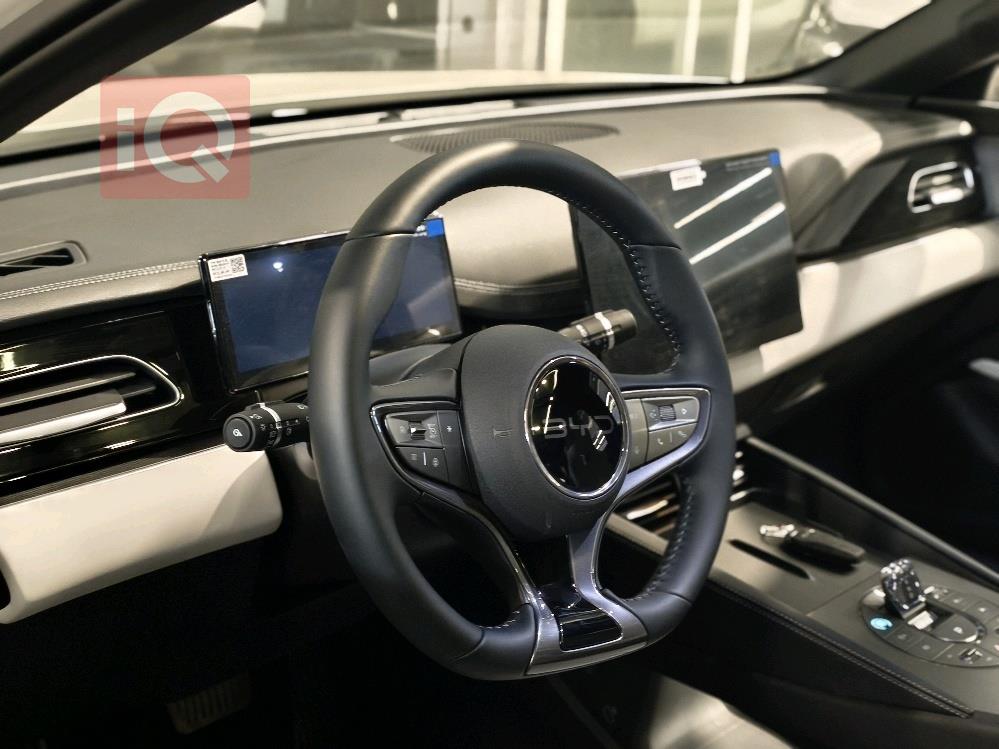 بي واي دي سيل 06 DM-i